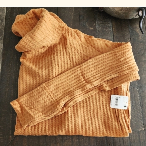 Free People Juicy Long Sleeve Oversized Top in Canyon Moon NWT Sz. S - Picture 10 of 11